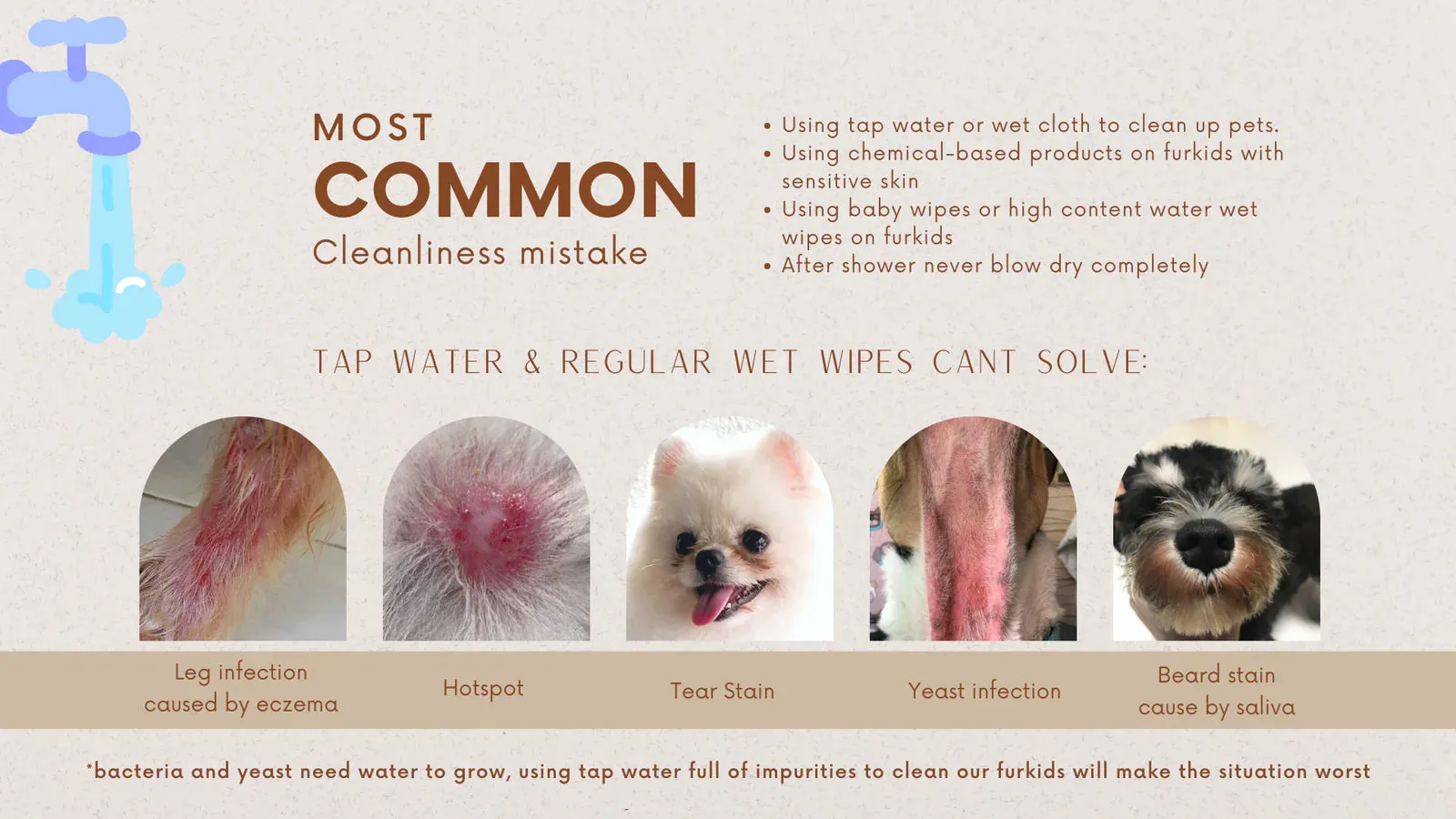 10% OFF: For Furry Friends Pet’s Activated Water Sanitizer (P.A.W.S) For Dogs & Cats
