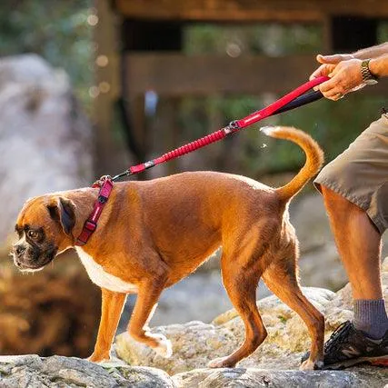 EZYDog Zero Shock Dog Leash Blue