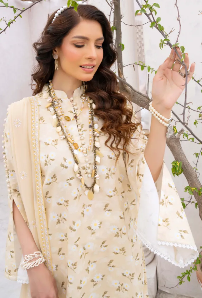 Humdum | Gardenia Lawn 24 | PLG 3 - D010