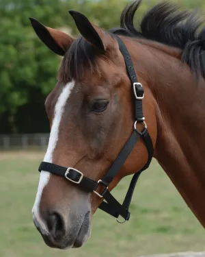 Roma Headcollar And Lead Set